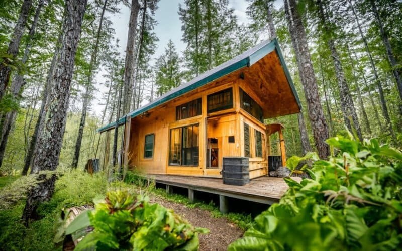 The Complete Guide to Living in an Off Grid Cabin